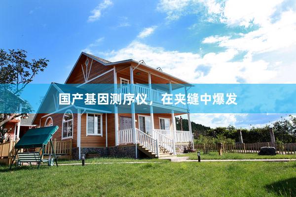 国产基因测序仪，在夹缝中爆发