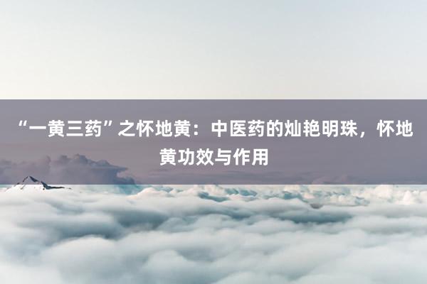 “一黄三药”之怀地黄：中医药的灿艳明珠，怀地黄功效与作用