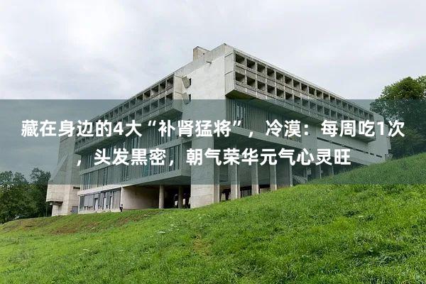 藏在身边的4大“补肾猛将”，冷漠：每周吃1次，头发黒密，朝气荣华元气心灵旺