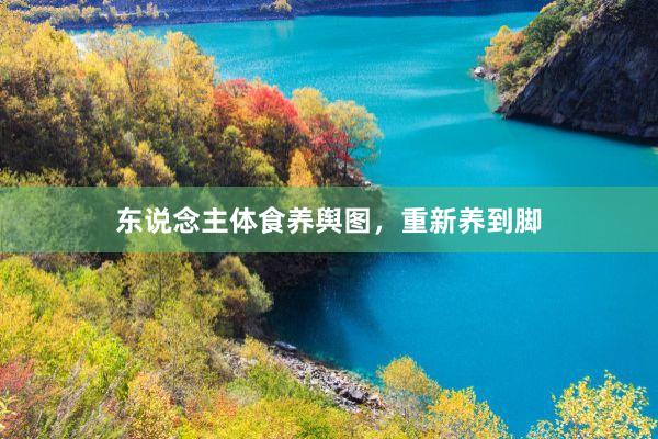 东说念主体食养舆图，重新养到脚