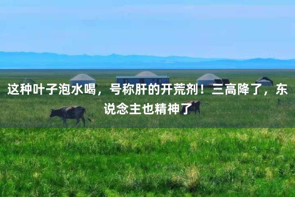 这种叶子泡水喝，号称肝的开荒剂！三高降了，东说念主也精神了