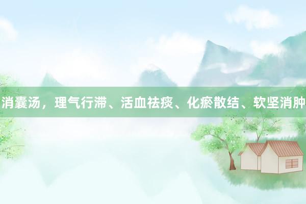 消囊汤，理气行滞、活血祛痰、化瘀散结、软坚消肿
