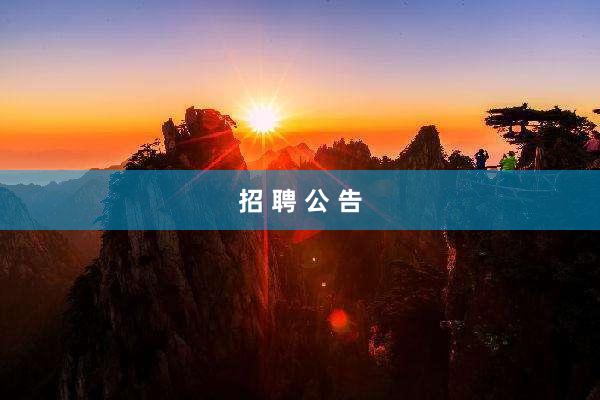 招 聘 公 告