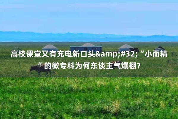 高校课堂又有充电新口头&#32;“小而精”的微专科为何东谈主气爆棚？