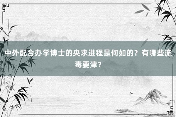 中外配合办学博士的央求进程是何如的？有哪些流毒要津？