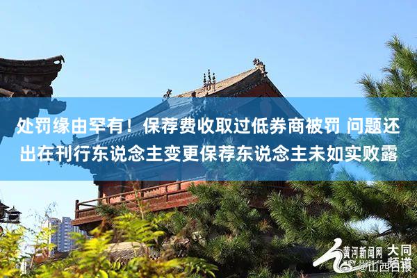 处罚缘由罕有！保荐费收取过低券商被罚 问题还出在刊行东说念主变更保荐东说念主未如实败露