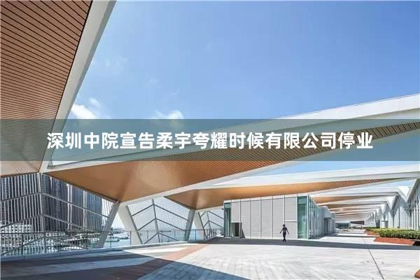 深圳中院宣告柔宇夸耀时候有限公司停业