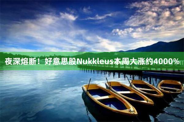 夜深熔断！好意思股Nukkleus本周大涨约4000%